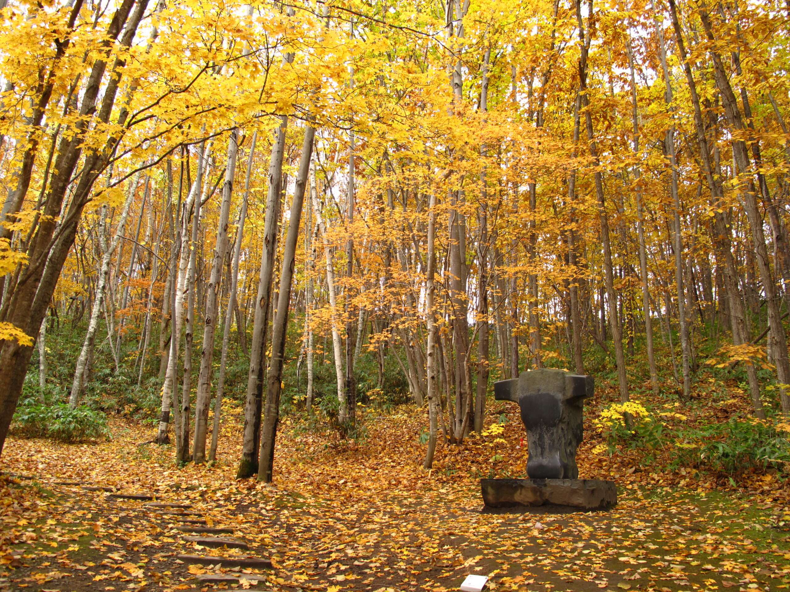 🎨 아사고 예술의 숲 미술관 (아사고 게이주츠노모리 비주츠칸) 이미지 1